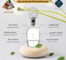 Oud Pour Classic 100ml Eau de Parfum Spray