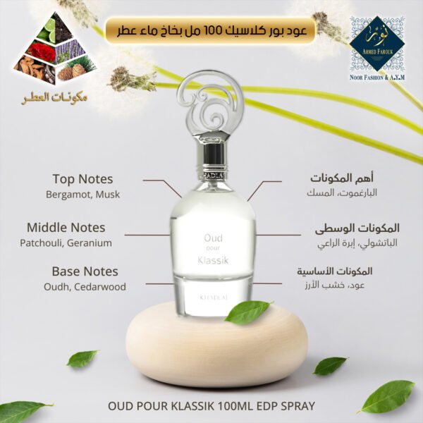 Oud Pour Classic 100ml Eau de Parfum Spray