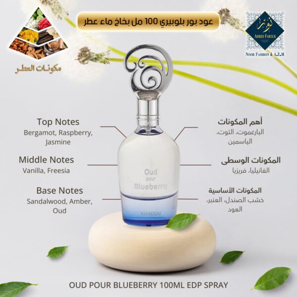 Oud Pour Blueberry 100ml Eau de Parfum Spray